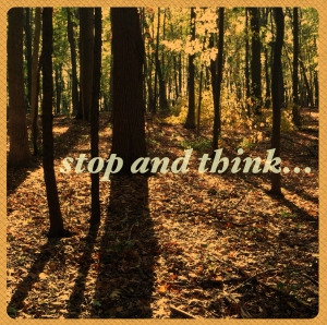 Stop-and-Think1