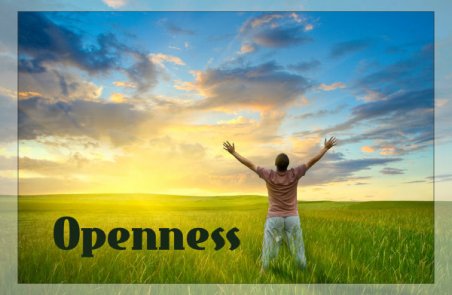 Image result for openness